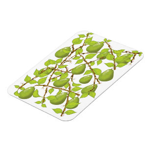 Ímã Peras em crescimento