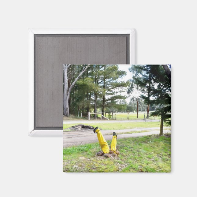 Imã Perdido no Jardim de novo (Front/Back)