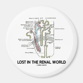Imã Perdido No Mundo Renal (Rim Nephron)