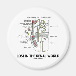 Imã Perdido No Mundo Renal (Rim Nephron)