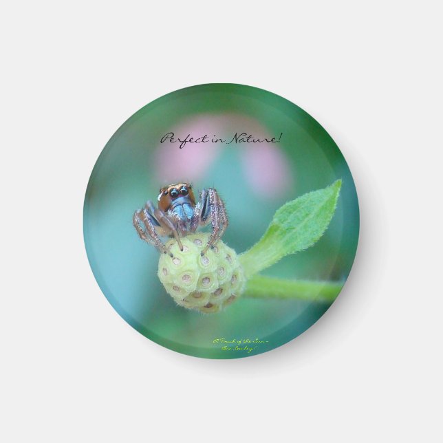 Imã Perfeito no Prêmio natural (Frente)