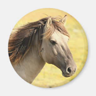 Imã Perfil bege do cavalo