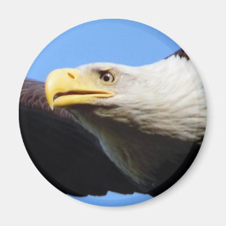 Imã Perfil de Águia Cega