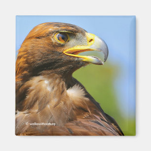 Imã Perfil de Eagle dourado no verão Sun