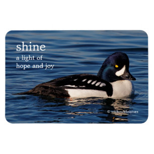 Ímã Perfil de Goldeneye de Barrow