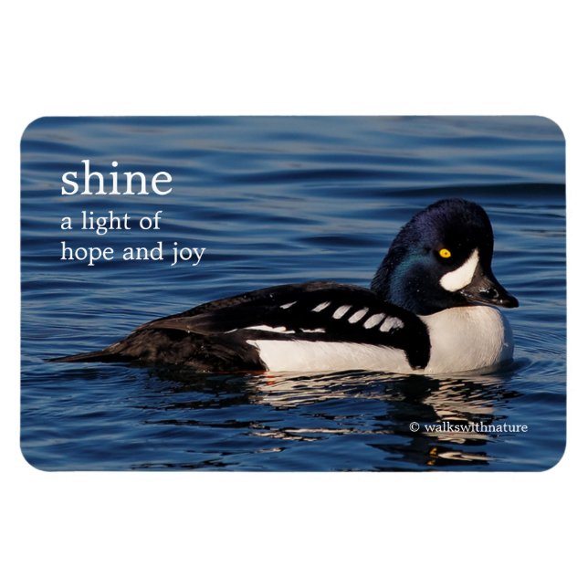 Ímã Perfil de Goldeneye de Barrow (Horizontal)