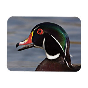 Ímã Perfil de um pato de madeira