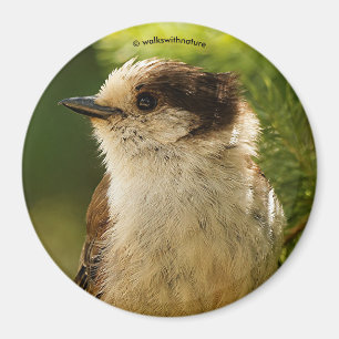 Imã Perfil de uma tomada de Cinza/uísque