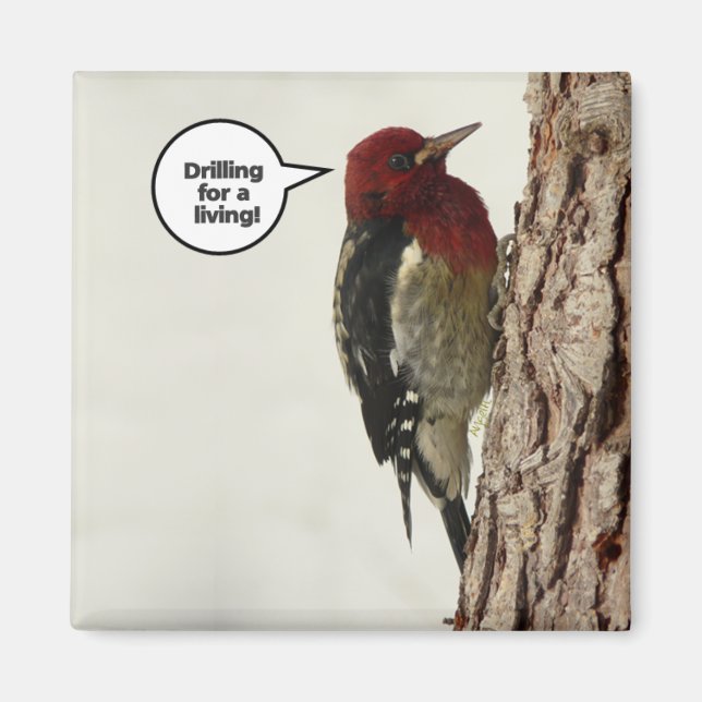 Imã Perfuração de um ímã vivo (Frente)