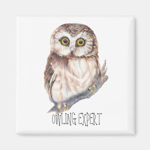 Imã Perito de Owling, coruja pequena engraçada