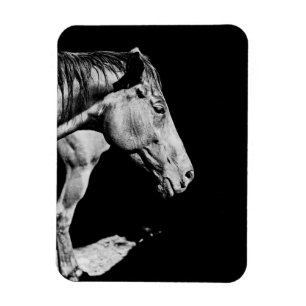 Ímã perna do cavalo