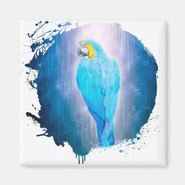 Imã Perroquet Oiseau Animal Vie Sauvage Forêt Selgle