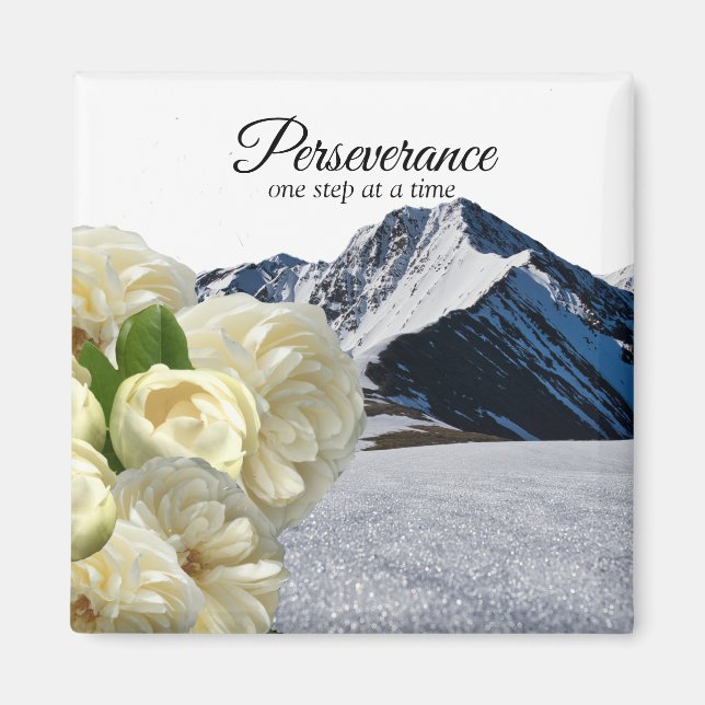 Imã Perseverance Magnet (Frente)