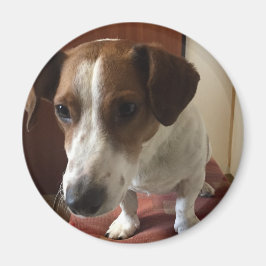 Imã Personalisiert Magnete