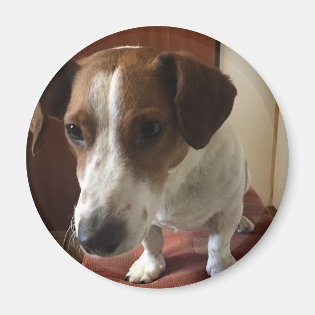 Imã Personalisiert Magnete (Frente)