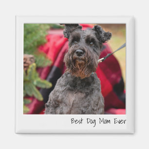 Imã Personalização da Foto da Melhor Mãe de Cachorro N