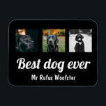 Ímã Personalização de Foto e Texto<br><div class="desc">Adicione sua própria foto e texto a este ímã personalizável,  personalizado para atender às suas necessidades de Ricaso</div>