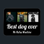 Ímã Personalização de Foto e Texto<br><div class="desc">Adicione sua própria foto e texto a este ímã personalizável,  personalizado para atender às suas necessidades de Ricaso</div>