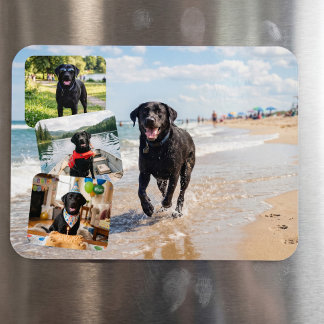 Ímã Personalizado Colagem de 4 Fotos