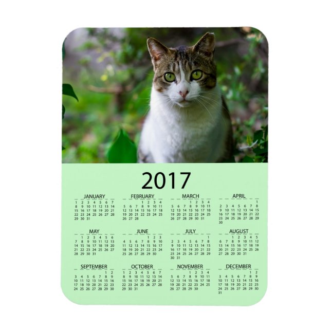 Ímã Personalizar este Mini Calendário de Foto Verde 20 (Vertical)