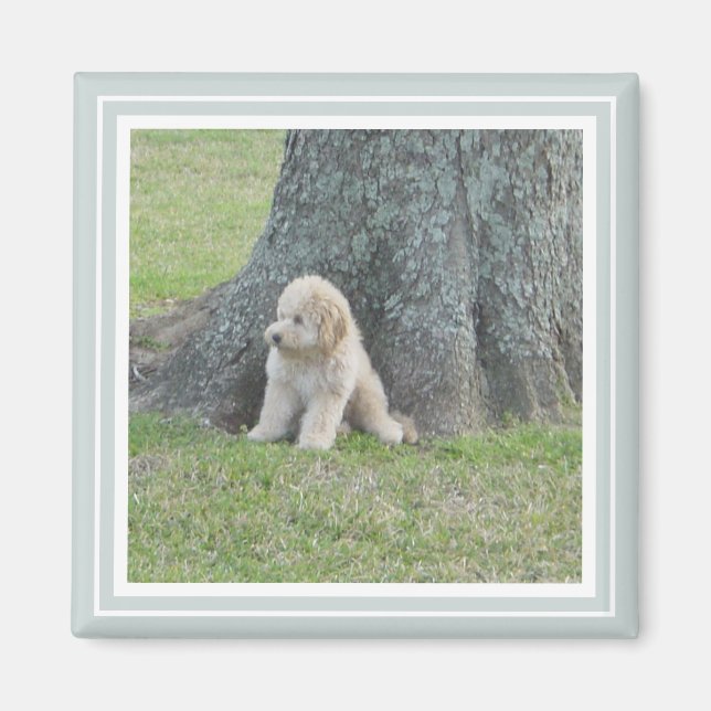 Imã Personalizar Foto Moderna Família de Cute Simples  (Frente)