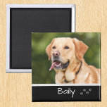 Imã Personalizar Fotografia Pet<br><div class="desc">Este design foi criado através da arte digital. Pode ser personalizado na área fornecer ou personalizar escolhendo o clique para personalizar mais opções e alterando o nome, as iniciais ou as palavras. Você também pode alterar a cor e o estilo do texto ou excluir o texto de um design de...</div>