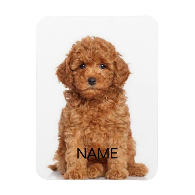 Ímã Personalizar personalização com o & nome da foto (Vertical)