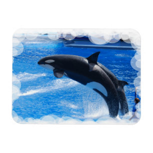 Ímã Personalizar produto