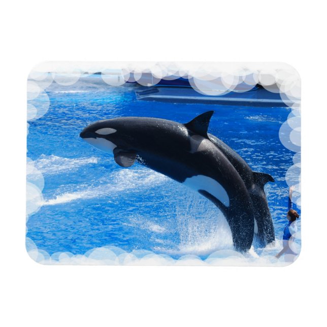 Ímã Personalizar produto (Horizontal)