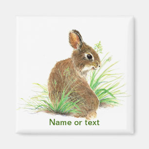 Imã Personalize este coelho curioso, animal da