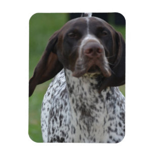 Ímã Personalize o produto