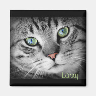 Imã Personalize um ímã com seu animal de estimação