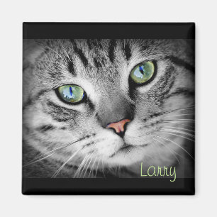 Imã Personalize um ímã com seu Pet favorito!