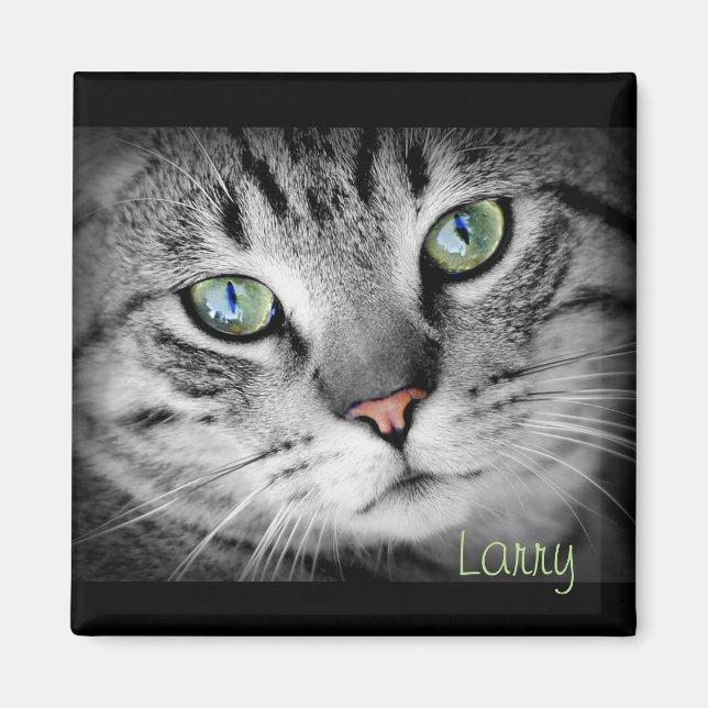 Imã Personalize um ímã com seu Pet favorito! (Frente)