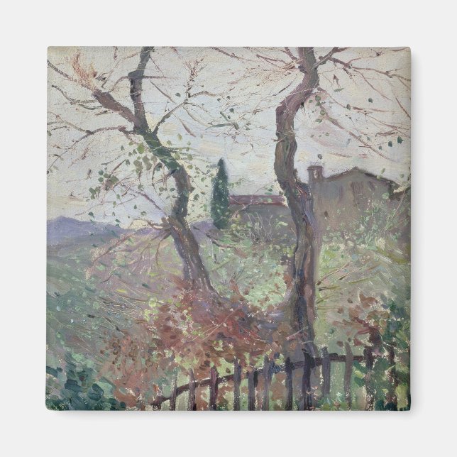 Imã Perugia, Úmbria, 1894 (Frente)