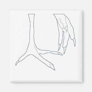 Imã pés de galinha