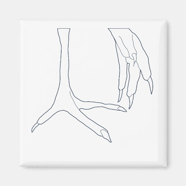 Imã pés de galinha (Frente)