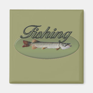 Imã Pesca