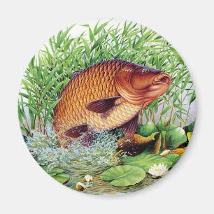 Imã Pesca da carpa