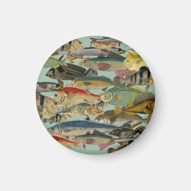 Imã Pesca de profundidade Pesca exótica Tropical (Frente)