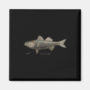 Imã Pesca de Raba Rabada