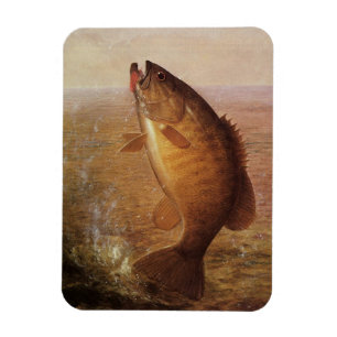 Ímã Pesca Desportiva Vintage, Peixe-Baixo-Marrom