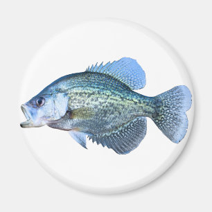Imã Pesca do tipo de peixe