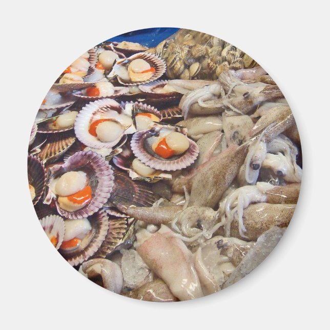 Imã Pescado (Frente)