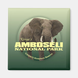 Imã PESO de Amboseli NP (elefante africano)