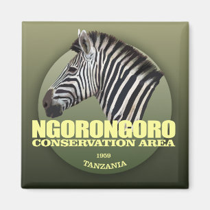 Imã PESO de Ngorongoro (zebra)