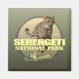 Imã PESO do parque nacional de Serengeti (chita)