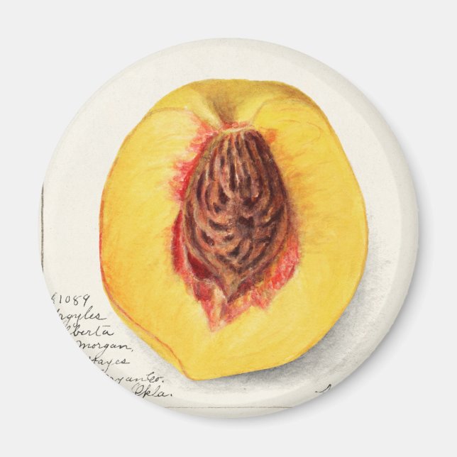 Imã Pêssego (Frente)