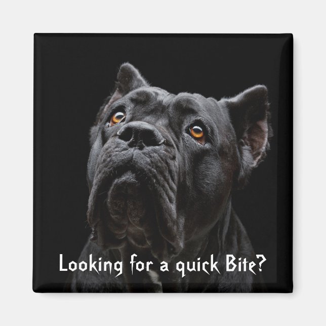 Imã Pêssegos (Frente)