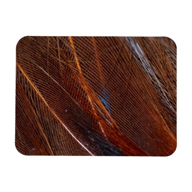 Ímã Peste Colorida em Detalhe (Horizontal)